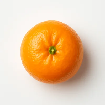 Illustration of tangerines, (mandarin oranges), raw