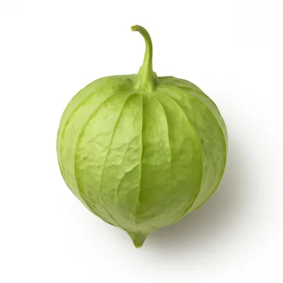 Illustration of tomatillos, raw