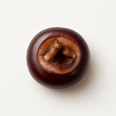 Illustration of waterchestnuts, chinese, (matai), raw