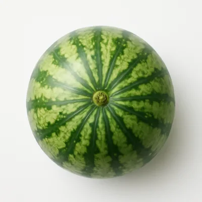 Illustration of watermelon, raw