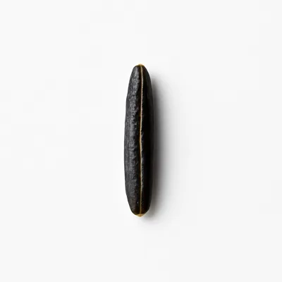 Illustration of wild rice, raw