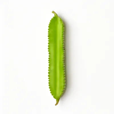 Illustration of winged beans, immature seeds, raw